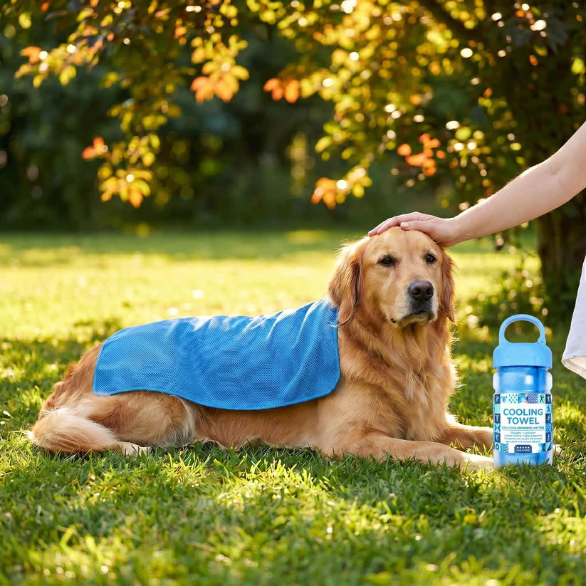 ❄💦Cold Sweat Towel You Can Use Anywhere, Anytime!