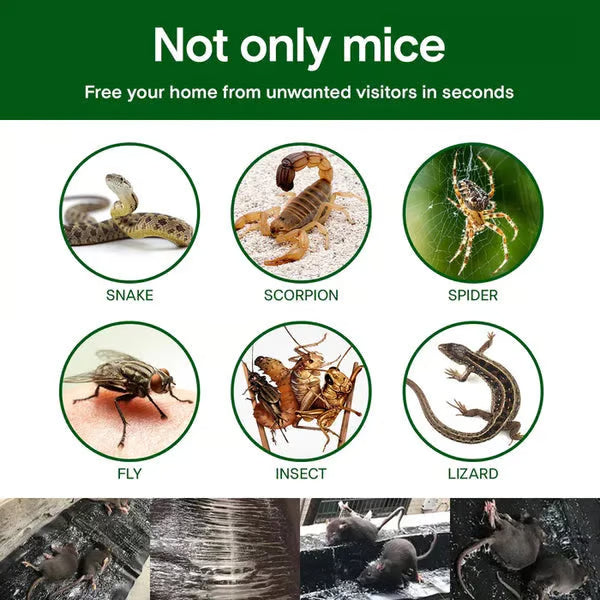 Household Mono-woven Strong Trap Sticky Mouse Fill