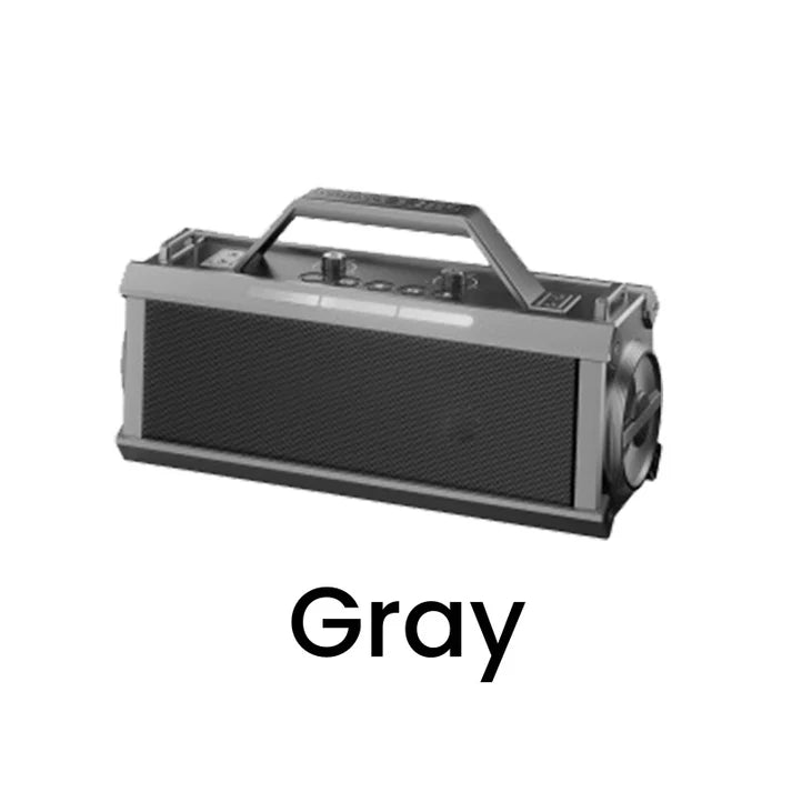 200W ब्लुटुथ कराओके स्पिकर वायरलेस माइक्रोफोन सहित