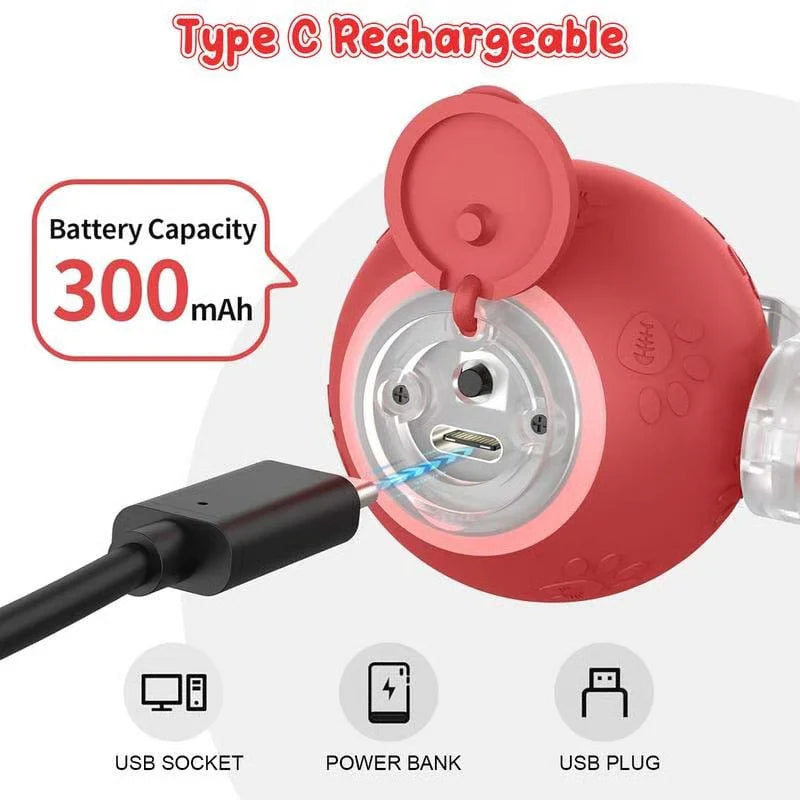 इन्टरएक्टिभ रिचार्जेबल बल बिरालो र कुकुर खेलौना