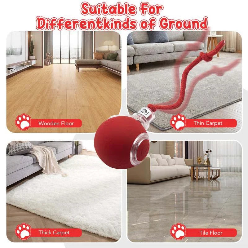 इन्टरएक्टिभ रिचार्जेबल बल बिरालो र कुकुर खेलौना