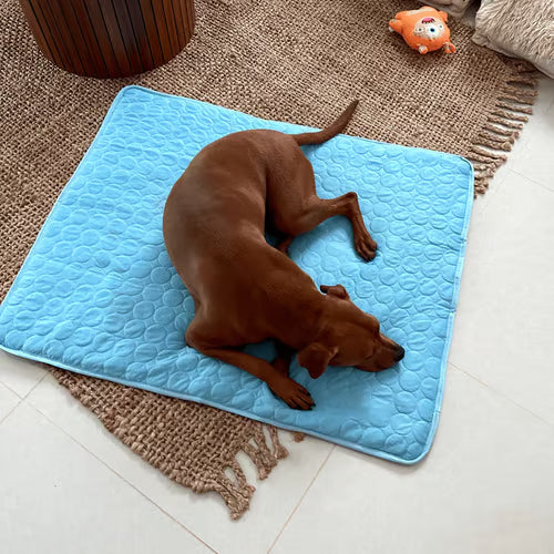 🧊Premium Cooling Mat For Pet