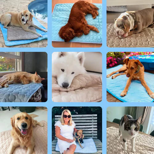 🧊Premium Cooling Mat For Pet