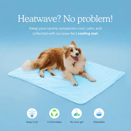 🧊Premium Cooling Mat For Pet