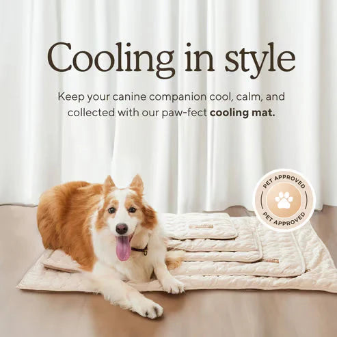 🧊Premium Cooling Mat For Pet