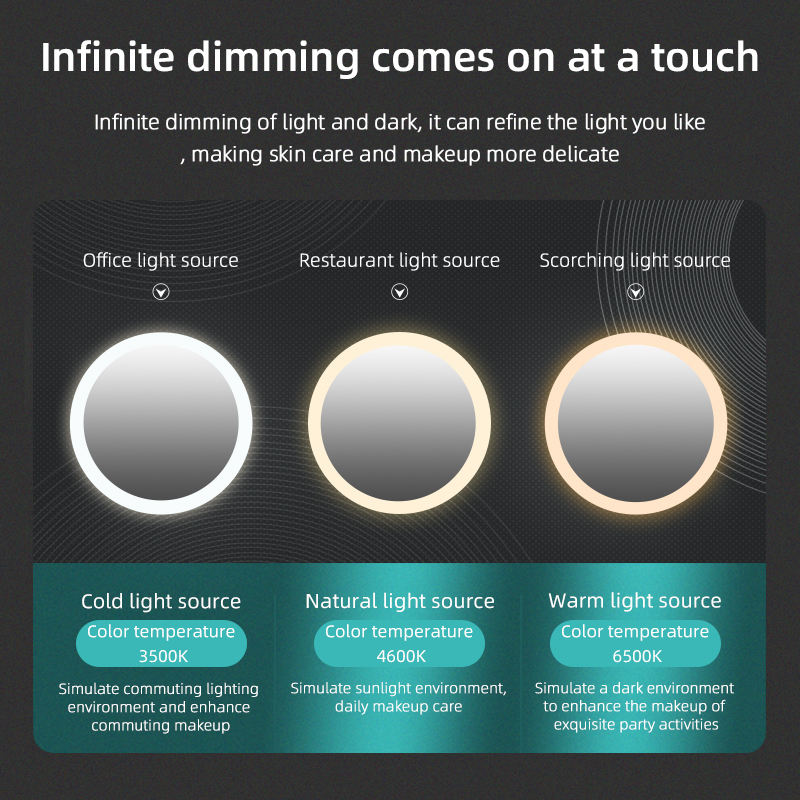 Premium makeup bagtm with ledmirror