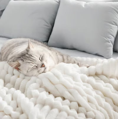 🎀Popular thickened plush nap blanket