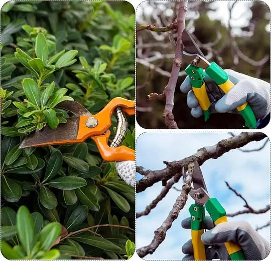 🌿 Blade Sharpener Tool (Buy 1 Get 1 Free)