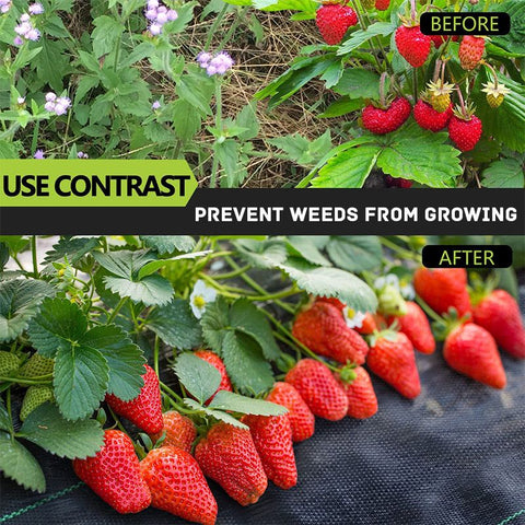 🔥 Biodegradable Weed Barrier Fabric