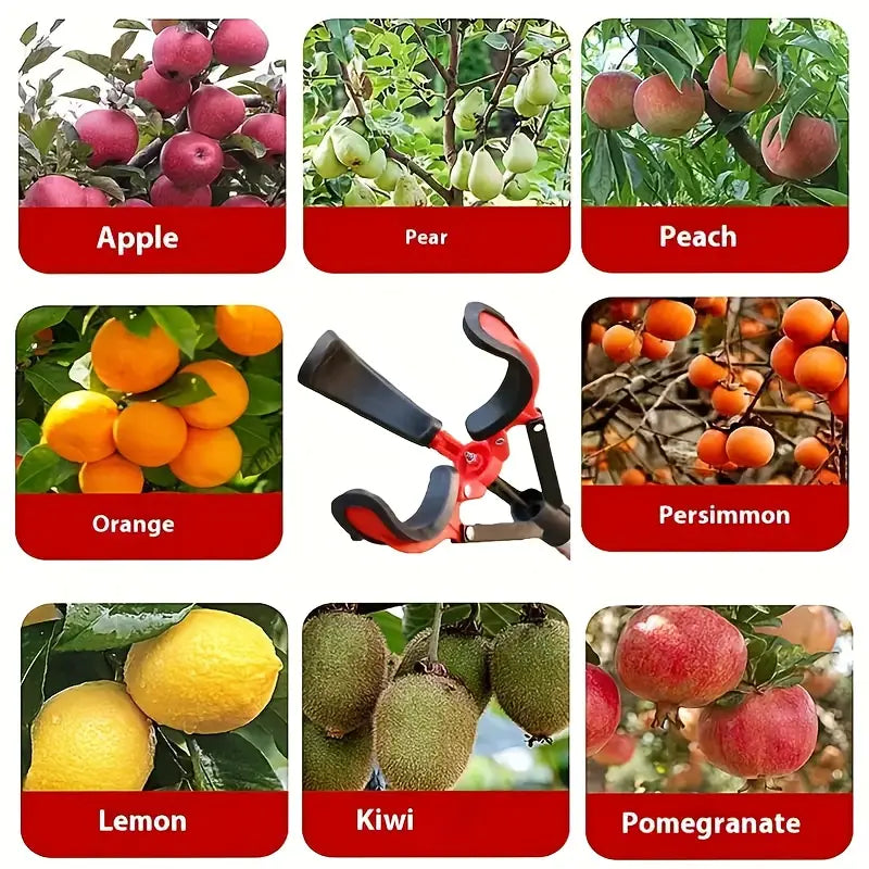हेभी-ड्युटी समायोजनयोग्य फल टिप्ने उपकरण, विस्तार गर्न मिल्ने डण्डीसहित – ३-पञ्जा ग्रिप डिजाइन।