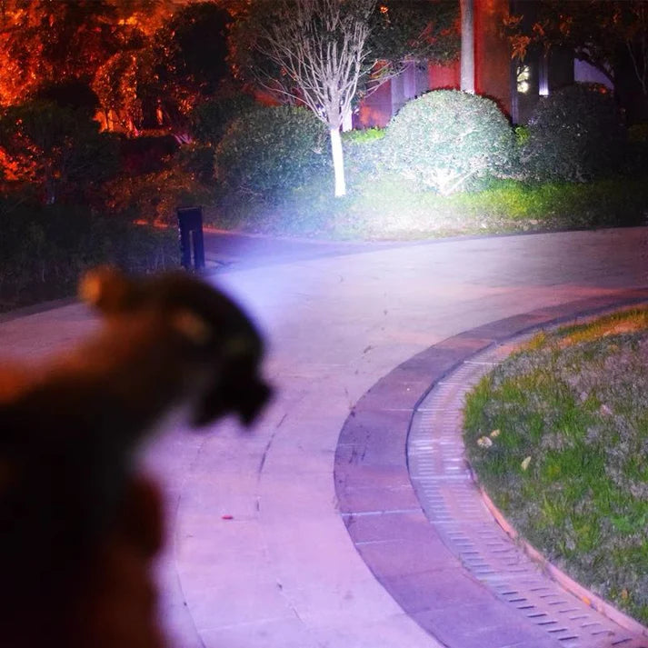 बहुउद्देश्यीय बाहिरी LED टर्च