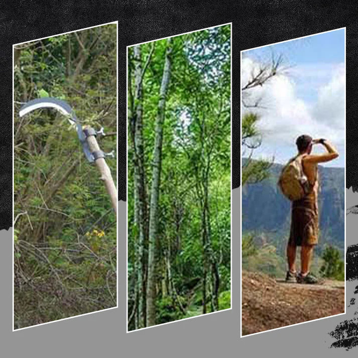 बहु-कार्यात्मक पोर्टेबल घाँस काट्ने हाँस फाँट सिर