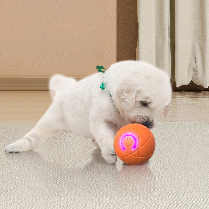 🐾 AUTO-BOUNCING SMART PET BALL WITH REMOTE CONTROL— 3 Interactive Modes | Chew-Resistant E-TPU | USB-C Rechargeable 🎾